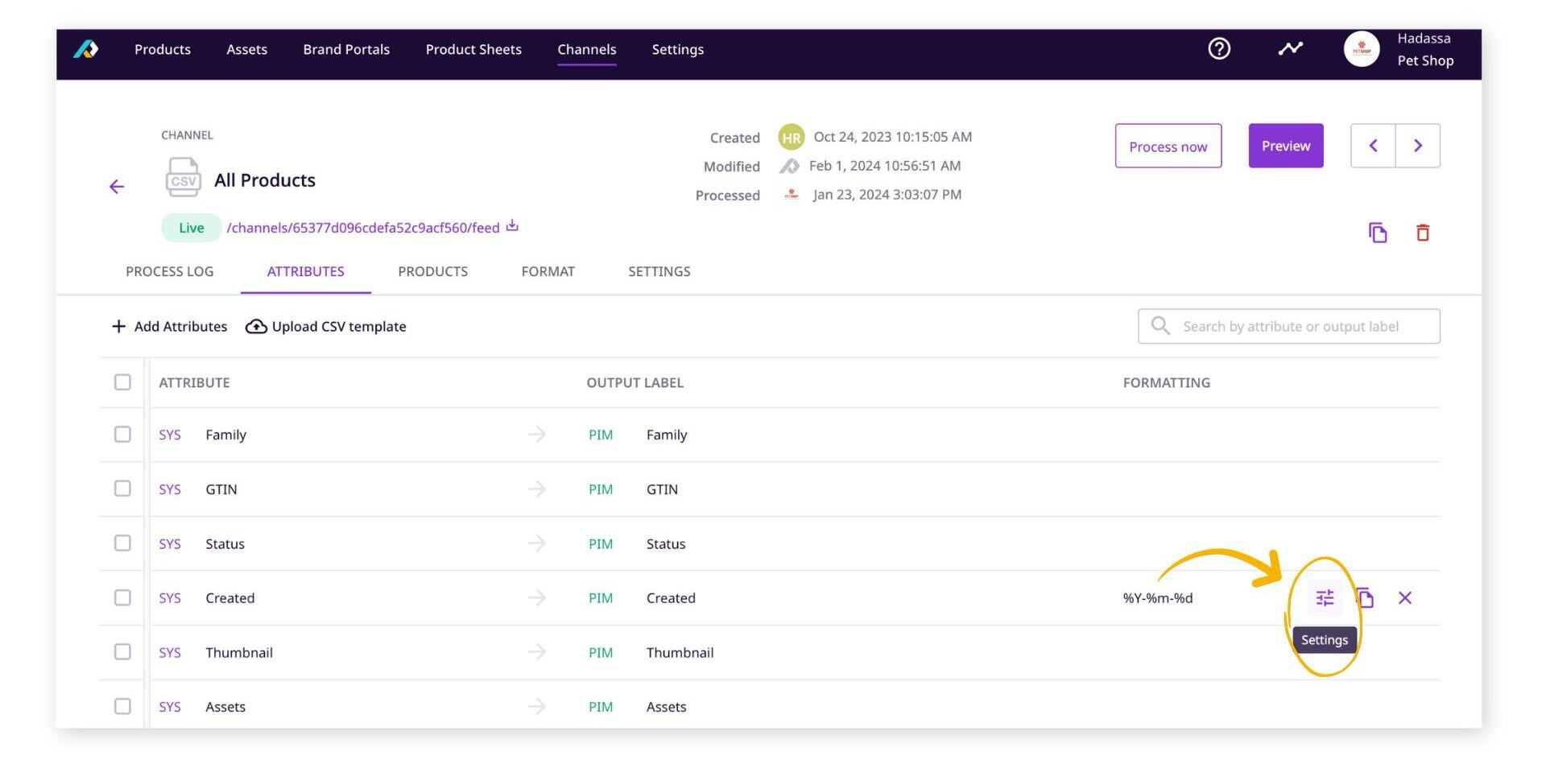 Configuring A Date Attribute - Premium Abstract Illustration Gallery - Desktop